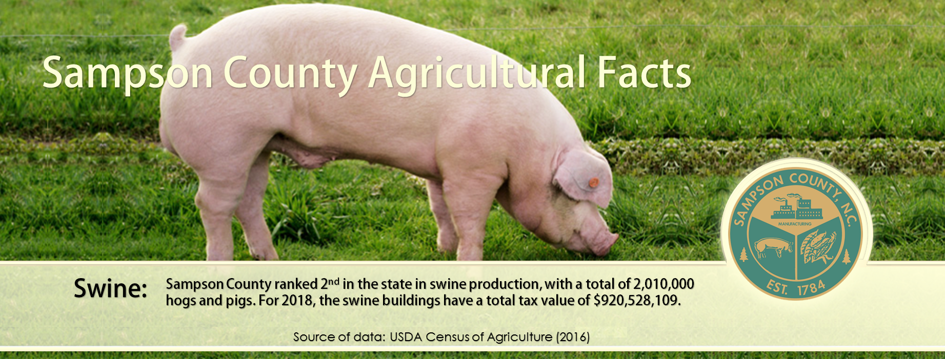 sampson county agricultural facts - hogs and pigs